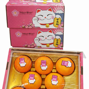 CH PREMIUM HONG MEI REN MIKAN - GIFT BOX