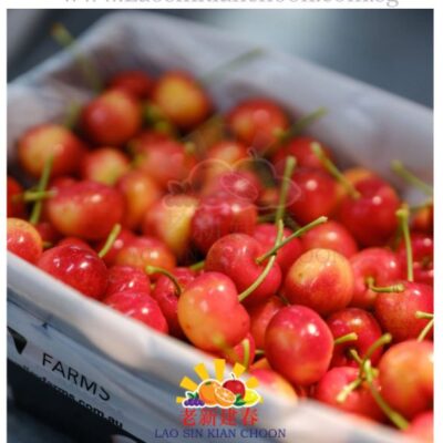 USA SKYLAR RAE CHERRY 1KG 美国白樱桃