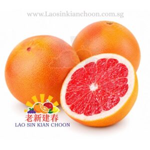SA GRAPEFRUITS 葡萄柚