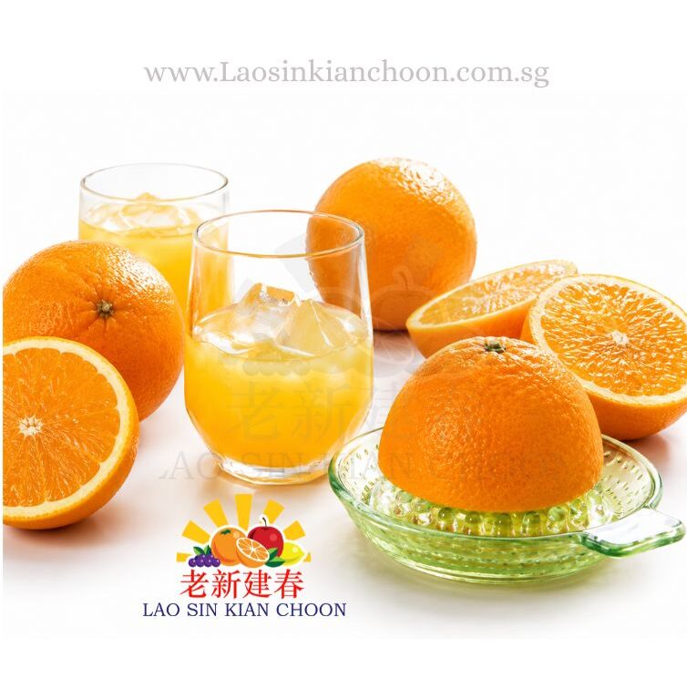 EGYPT VALENCIA ORANGE 埃及水橙 9-12'S / PACK - Image 2