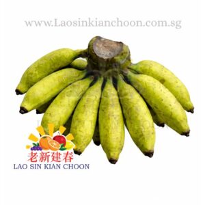 MY BANANA 马来西亚香蕉 - RASTALI (KELING CHIO) 大力蕉 / KG