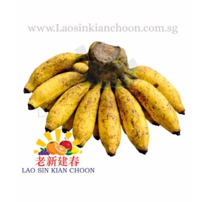 MY BANANA 马来西亚香蕉 – RASTALI (KELING CHIO) 大力蕉 / KG