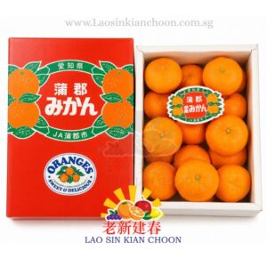 JAPAN AICHI GAMAGORI MIKAN 爱知蒲郡蜜柑 1.2kg