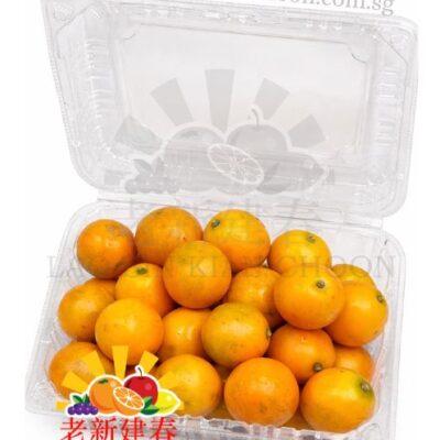 CH HONEY KUMQUAT 黄金桔 / PACK