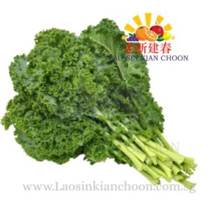 GREEN KALE 芥兰