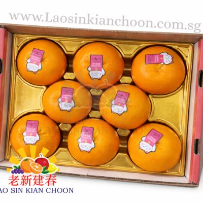 CH PREMIUM HONG MEI REN MIKAN – GIFT BOX