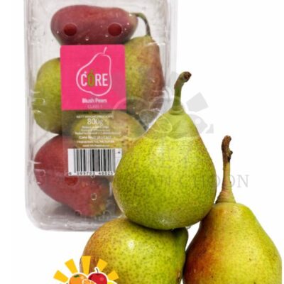 SA CELINA BLUSH PEAR  红晕塞丽娜梨 – CORE 800GR