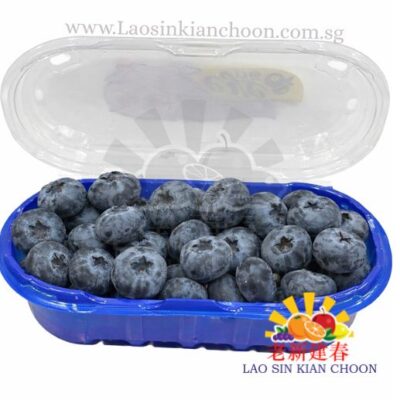PRC BLUEBERRY 特大蓝莓 125GR X 3’S – FRUITIST