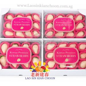 KOREA WHITE STRAWBERRY 韩国白草莓 500GR X 4'S - CTN