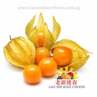 COLOMBIA PHYSALIS GOOSEBERRY 哥伦比亚酸浆果 – OCATI 100GR