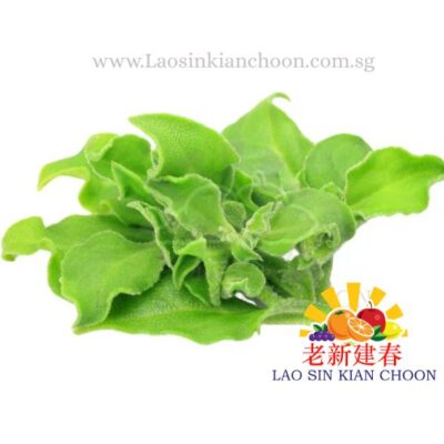 ICE PLANT 冰菜 100GR