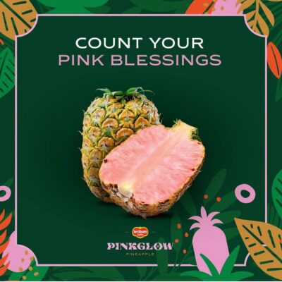COSTA RICA PINKGLOW PINEAPPLE 哥斯达黎加粉红菠萝 / PCS