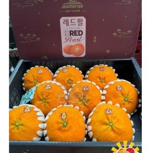 KOREA JEJU RED HYANG 레드향 - JESMERIZE