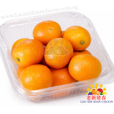 JAPAN AIRFLOWN KUMQUAT 250GR – PRE PACK