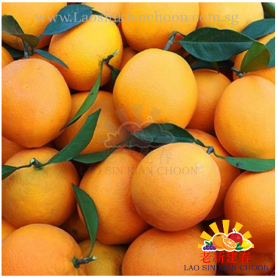 🍊GANNAN PREMIUM ORANGE 江西赣南橙子  18pcs+-