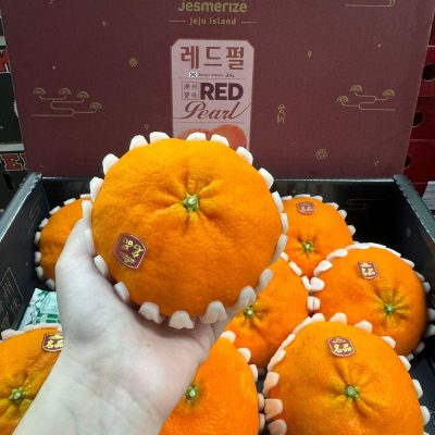 KOREA JEJU RED HYANG 레드향 – JESMERIZE