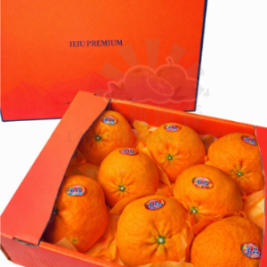 KOREA JEJU RED HYANG 레드향 - PREMIUM JEJU