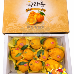 KOREA HALLABONG MANDARIN - JEJU🍊韩国级柑橘 3KG