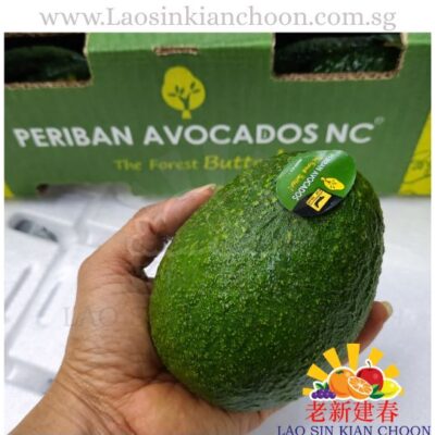 MEXICO BIG AVOCADO 墨西哥牛油果 / PCS