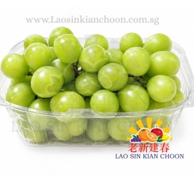 CHINA SHINE MUSCAT 500GR 阳光玫瑰葡萄 – SNOW WHITE