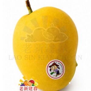 MYANMAR MANGO SEIN TA LONE 缅甸芒果 BY WEIGHT