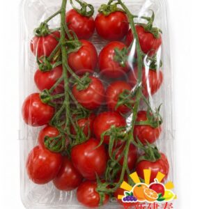 HOLLAND CHERRY TOMATO ON VINE 荷兰串装小番茄 500GR - LSKC