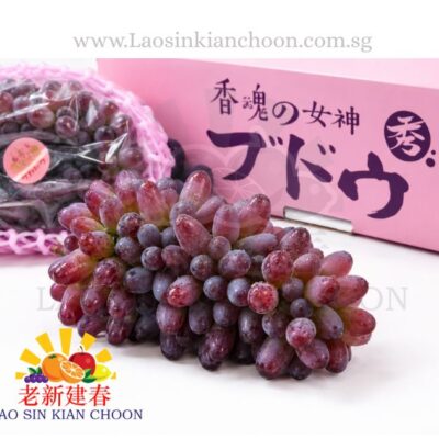 CH JASMINE AROMA GRAPES🍇 糖小曼·香魂女神葡萄 📦2.3kgs