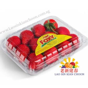 USA STRAWBERRY LONG STEM 美国草莓 500GR - FOXY
