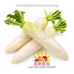 JAPAN DAIKON RADISH 日本白萝卜 - CLEARANCE NO RETURN